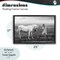Stupell Industries Her White Horse Floating Frame, design by Ata Alishahi